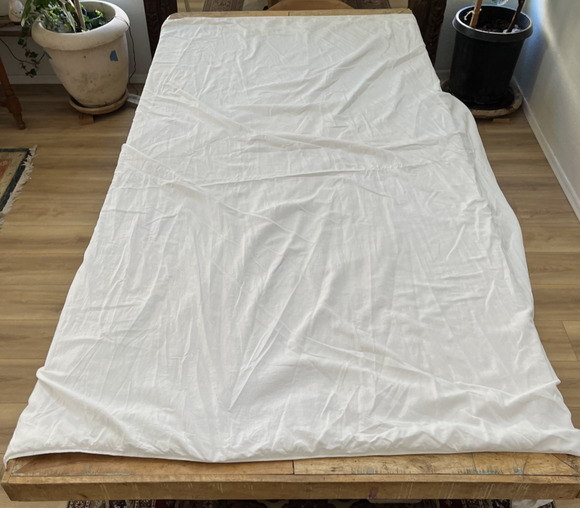 Pottery Barn Other - Pottery Barn Kids White Twin Duvet Cover 100% Organic Cotton Button Closure